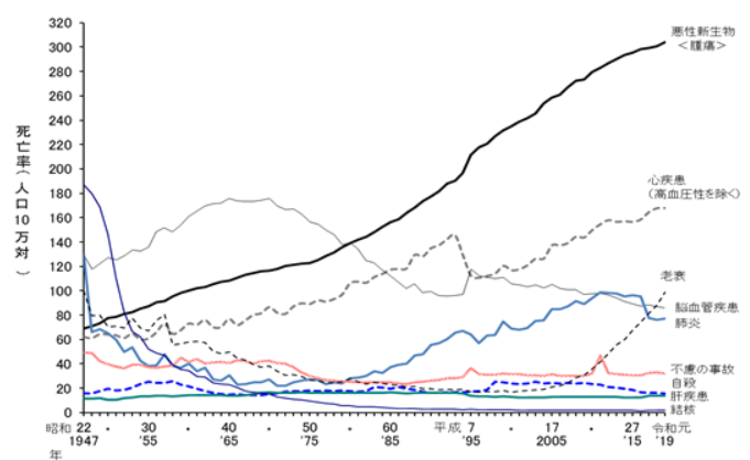 主な死因別にみた死亡率（人口10万対）の年次推移