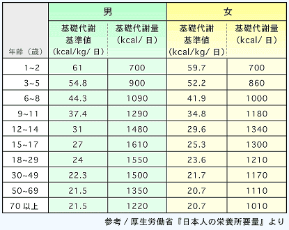 カロリー算出